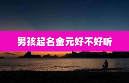 男孩起名金元好不好听