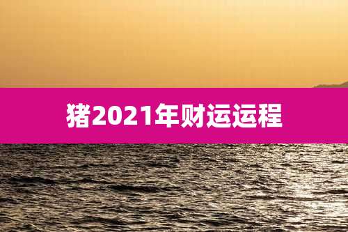 猪2021年财运运程