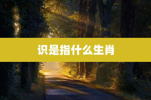 识是指什么生肖