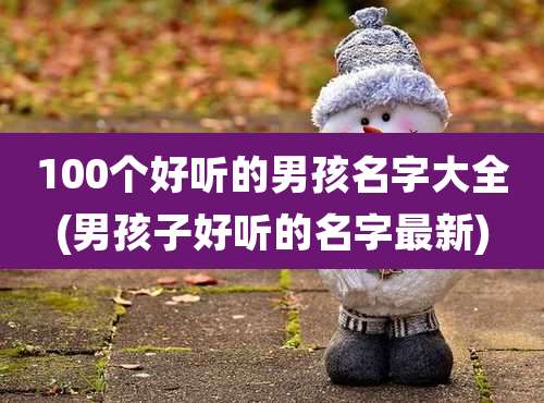 100个好听的男孩名字大全(男孩子好听的名字最新)