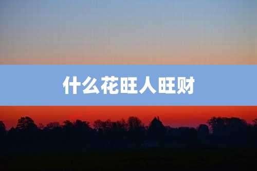 什么花旺人旺财