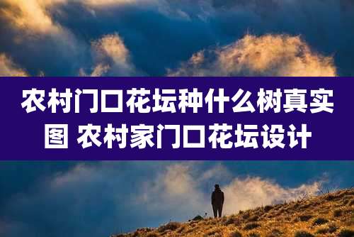 农村门口花坛种什么树真实图 农村家门口花坛设计