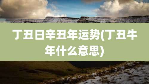 丁丑日辛丑年运势(丁丑牛年什么意思)
