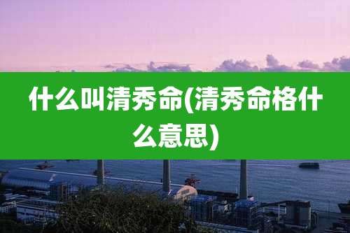 什么叫清秀命(清秀命格什么意思)