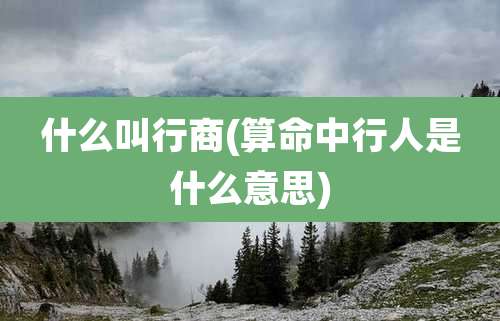 什么叫行商(算命中行人是什么意思)