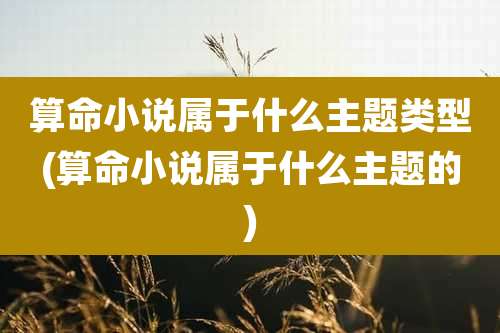 算命小说属于什么主题类型(算命小说属于什么主题的)