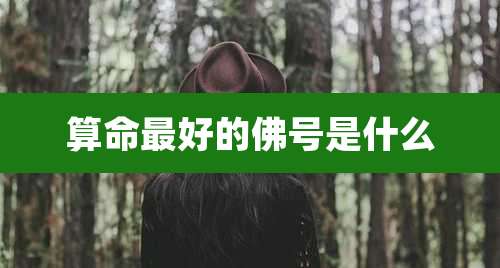 算命最好的佛号是什么