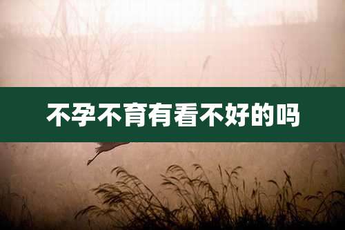 不孕不育有看不好的吗