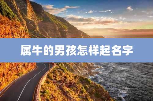属牛的男孩怎样起名字