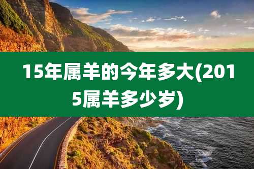 15年属羊的今年多大(2015属羊多少岁)