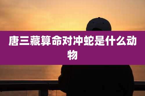 唐三藏算命对冲蛇是什么动物