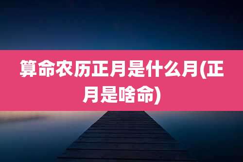 算命农历正月是什么月(正月是啥命)