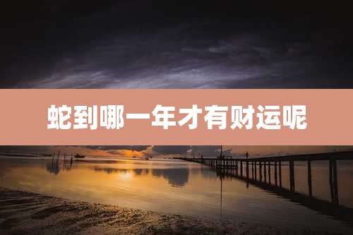 蛇到哪一年才有财运呢