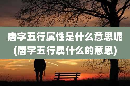 唐字五行属性是什么意思呢(唐字五行属什么的意思)
