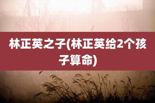 林正英之子(林正英给2个孩子算命)