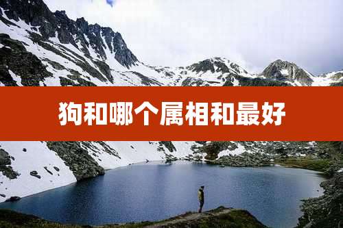 狗和哪个属相和最好