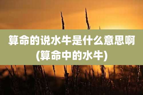 算命的说水牛是什么意思啊(算命中的水牛)