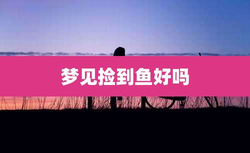 梦见捡到鱼好吗