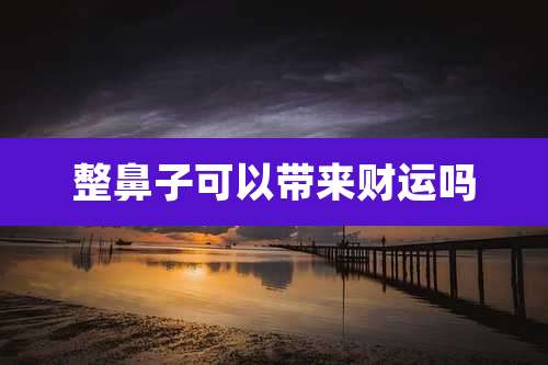 整鼻子可以带来财运吗