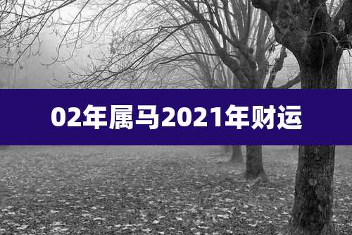 02年属马2021年财运
