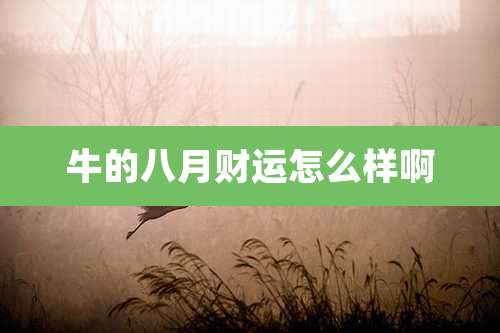 牛的八月财运怎么样啊