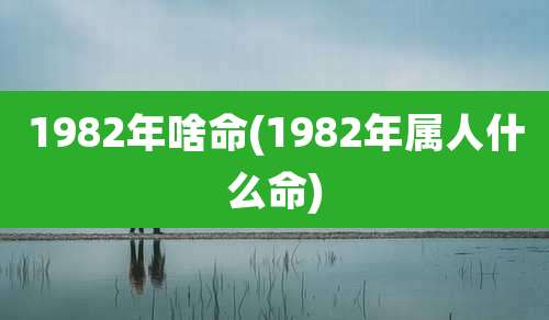 1982年啥命(1982年属人什么命)