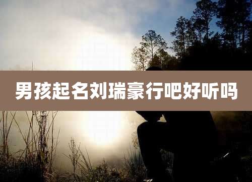 男孩起名刘瑞豪行吧好听吗