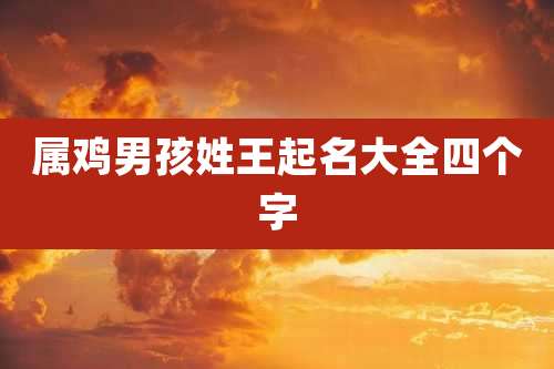 属鸡男孩姓王起名大全四个字