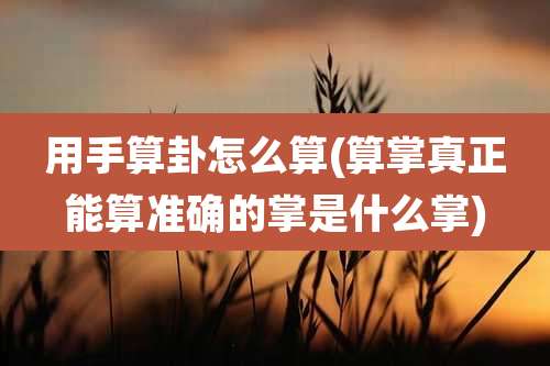 用手算卦怎么算(算掌真正能算准确的掌是什么掌)