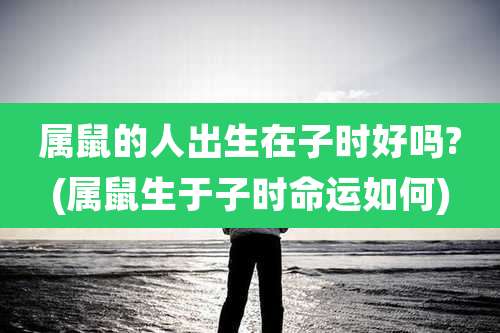 属鼠的人出生在子时好吗?(属鼠生于子时命运如何)