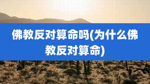 佛教反对算命吗(为什么佛教反对算命)