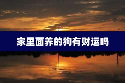 家里面养的狗有财运吗