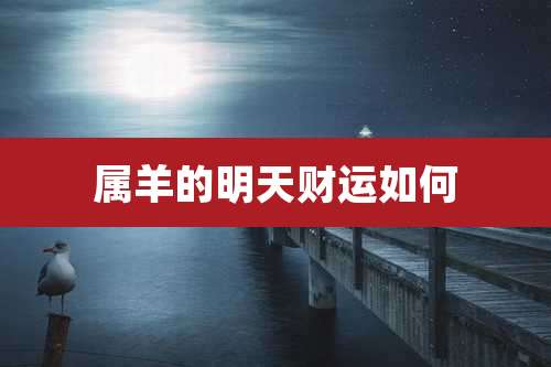 属羊的明天财运如何