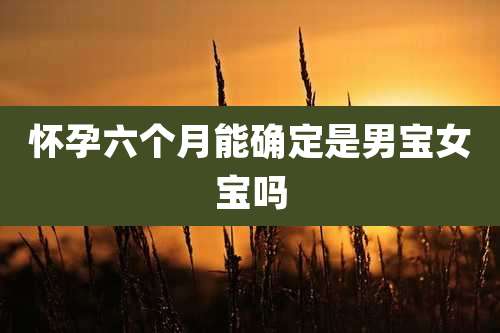 怀孕六个月能确定是男宝女宝吗