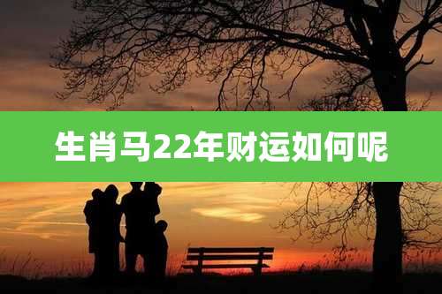 生肖马22年财运如何呢