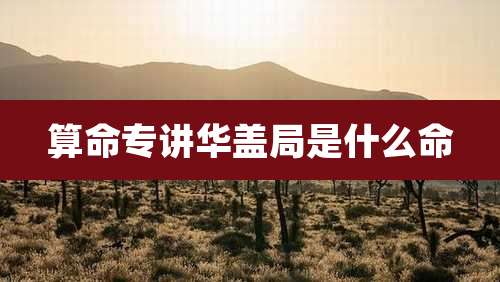 算命专讲华盖局是什么命