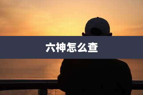六神怎么查