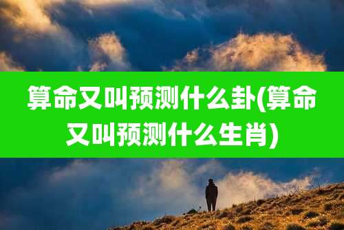 算命又叫预测什么卦(算命又叫预测什么生肖)