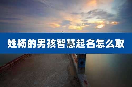 姓杨的男孩智慧起名怎么取