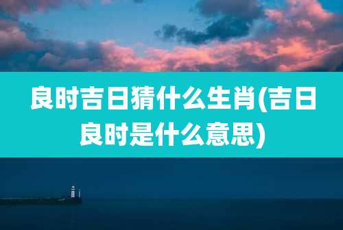 良时吉日猜什么生肖(吉日良时是什么意思)