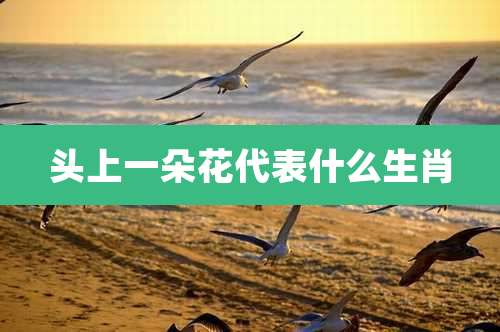 头上一朵花代表什么生肖