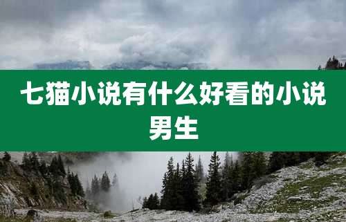 七猫小说有什么好看的小说男生