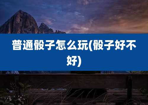 普通骰子怎么玩(骰子好不好)