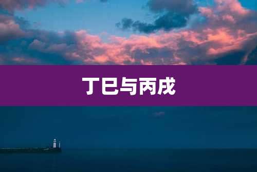 丁巳与丙戌
