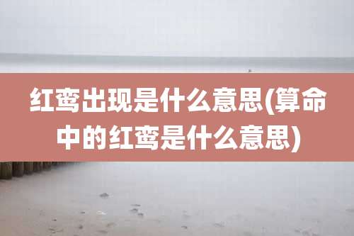 红鸾出现是什么意思(算命中的红鸾是什么意思)