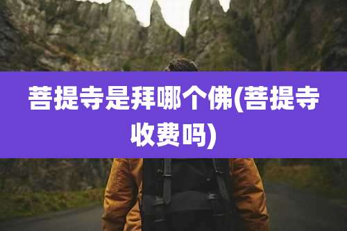 菩提寺是拜哪个佛(菩提寺收费吗)