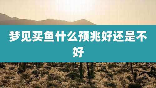梦见买鱼什么预兆好还是不好