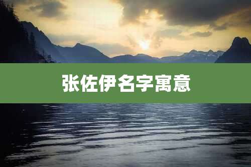 张佐伊名字寓意