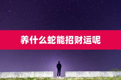 养什么蛇能招财运呢