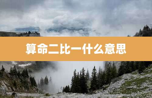 算命二比一什么意思